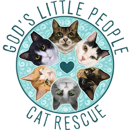 God&#39;s Little People Cat Rescue